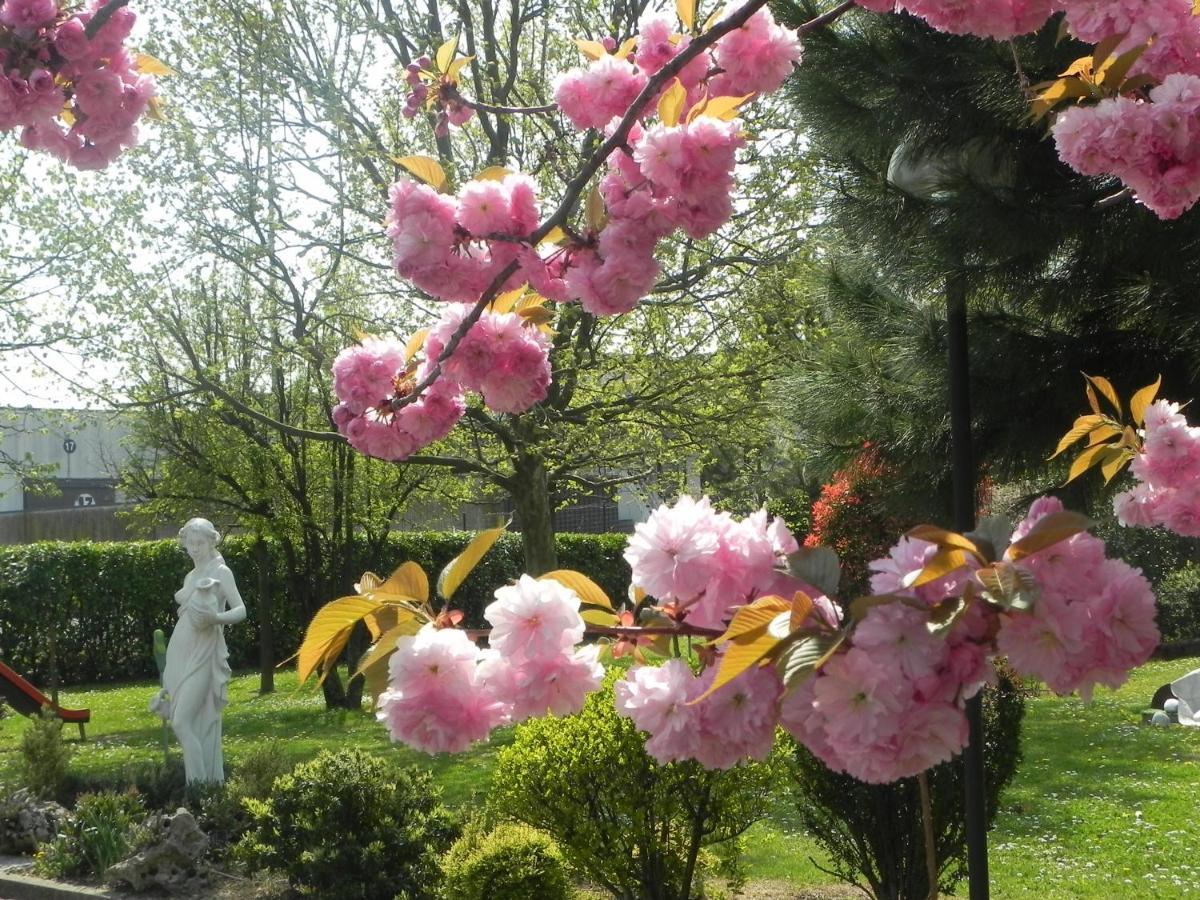 Il Maglio Hotel Imola
